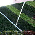 Customized fresh PE artificial plants green wall for privacy safety